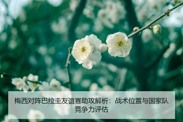 mei-xi-dui-zhen-ba-la-gui-you-yi-sai-zhu-gong-jie-xi-zhan-shu-wei-zhi-yu-guo-jia-dui-jing-zheng-li-ping-gu-1-258.jpg